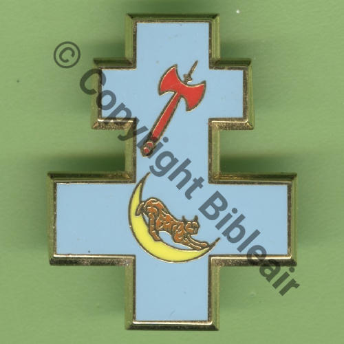 33.1  2016 A1397 ESCADRON DRONES 1.33 BELFORT  PICHARD BALME Griffes et butees Dos scintillant Src.Y.GENTY 20Eur06.16 